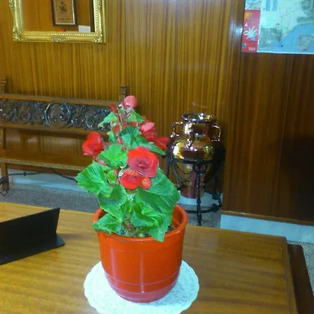Hotel Royal 2*